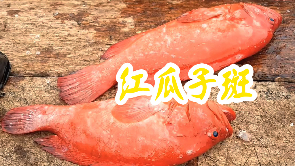 红瓜子斑处理,这样砍完就掉价了!
